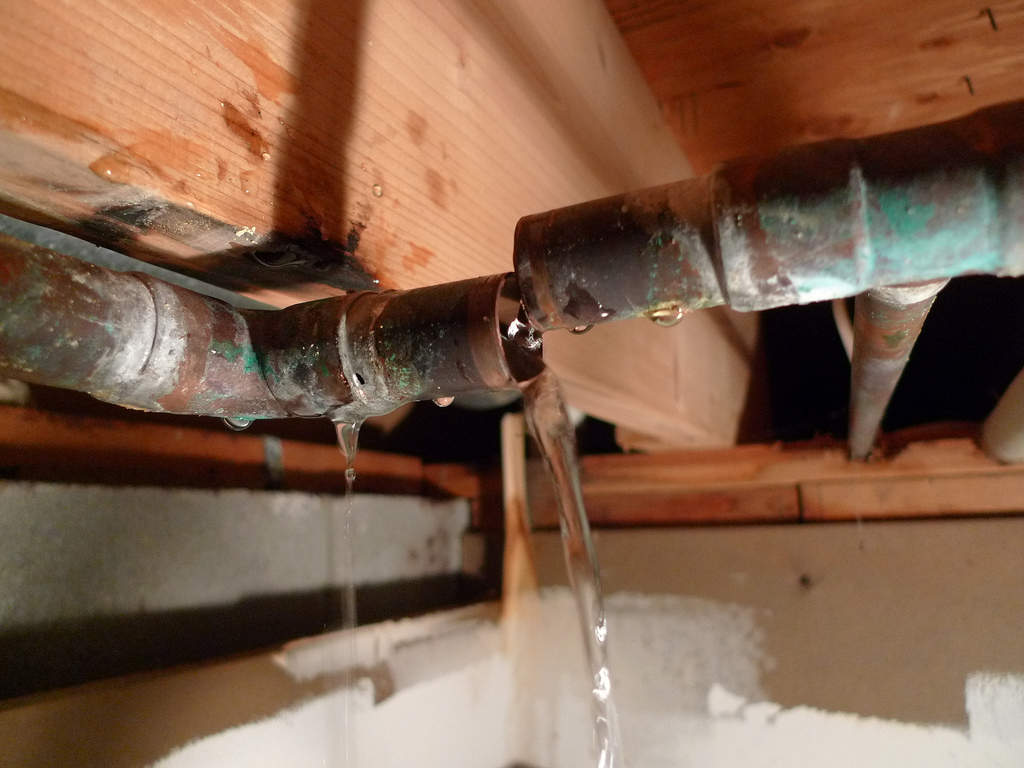 What happens when your landlord won't fix leaks? The Human Utility Blog