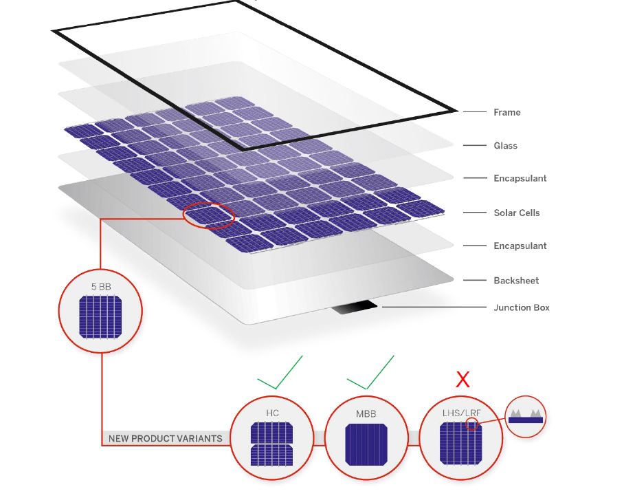Module trends and technologies Cast Mono IBC SOLAR Blog