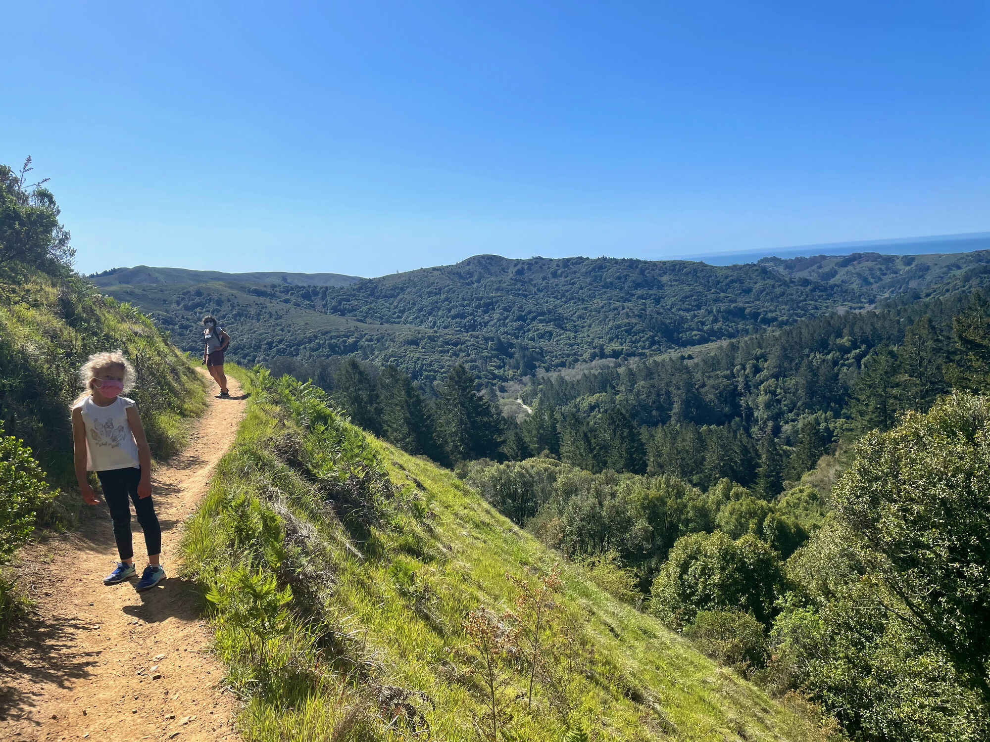 Dipsea trail