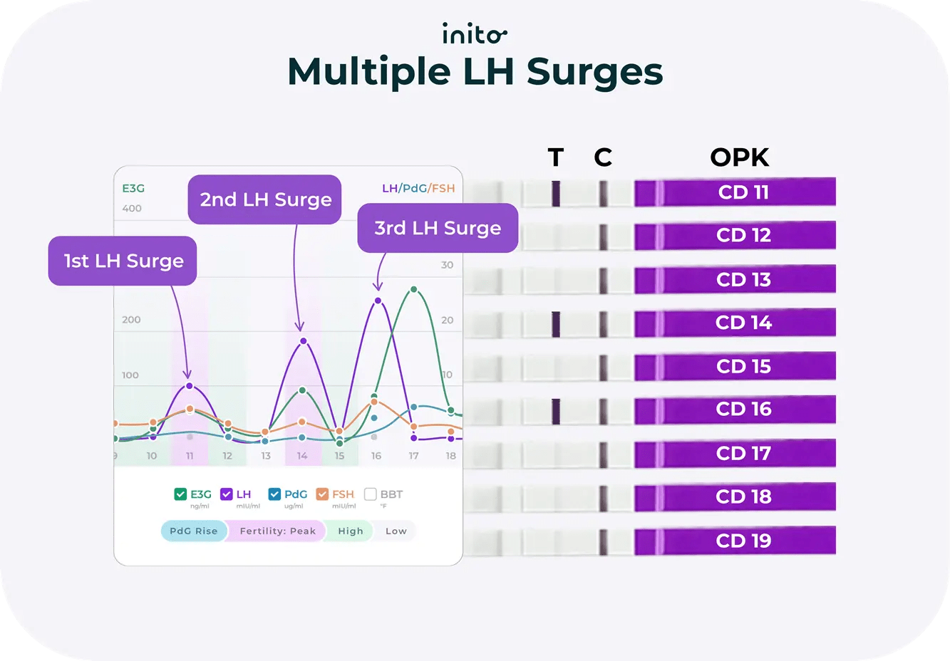 Your Complete Guide to Ovulation Testing Progression