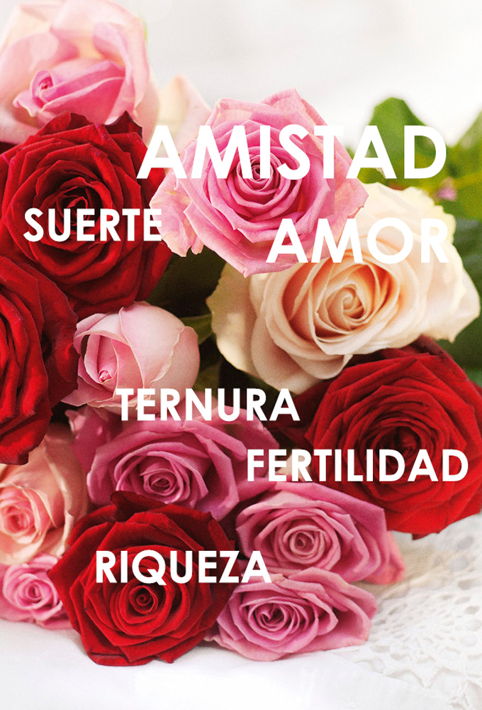 Conoce el significado del color de las rosas Interflora