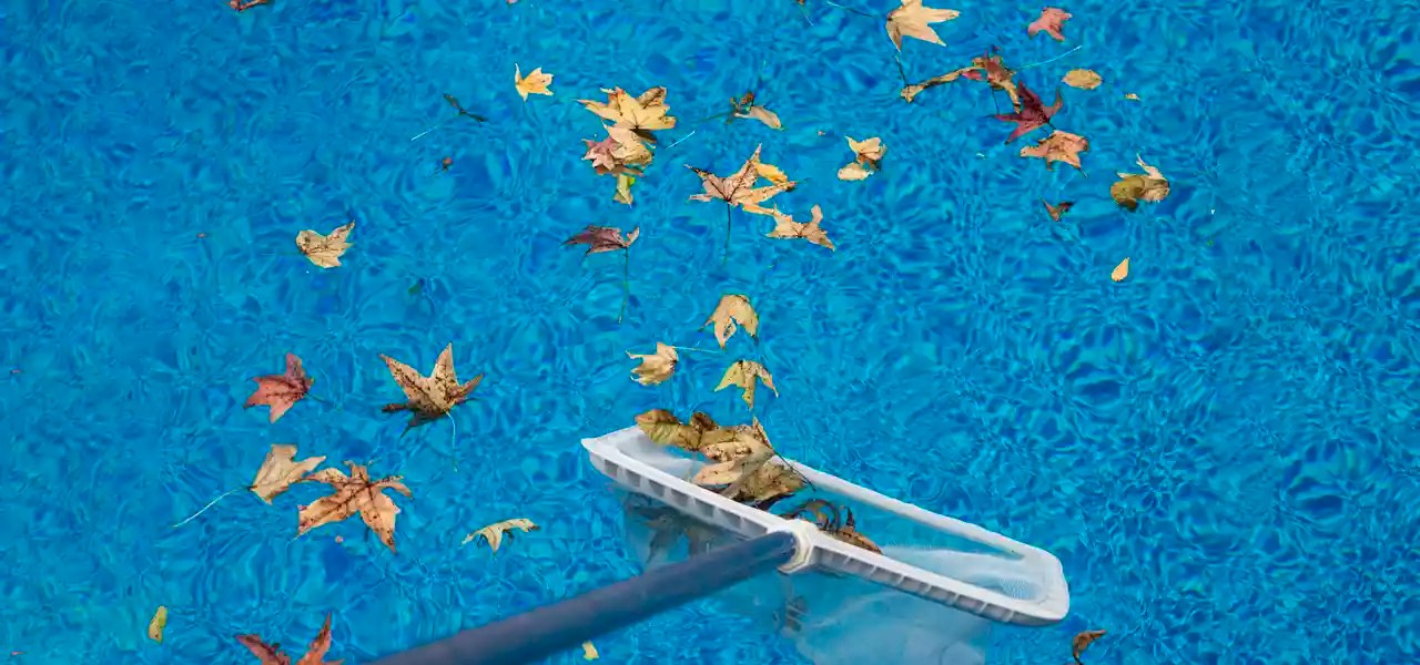 Dealing With Excessive Leaves In Your Pool In The Swim Pool Blog