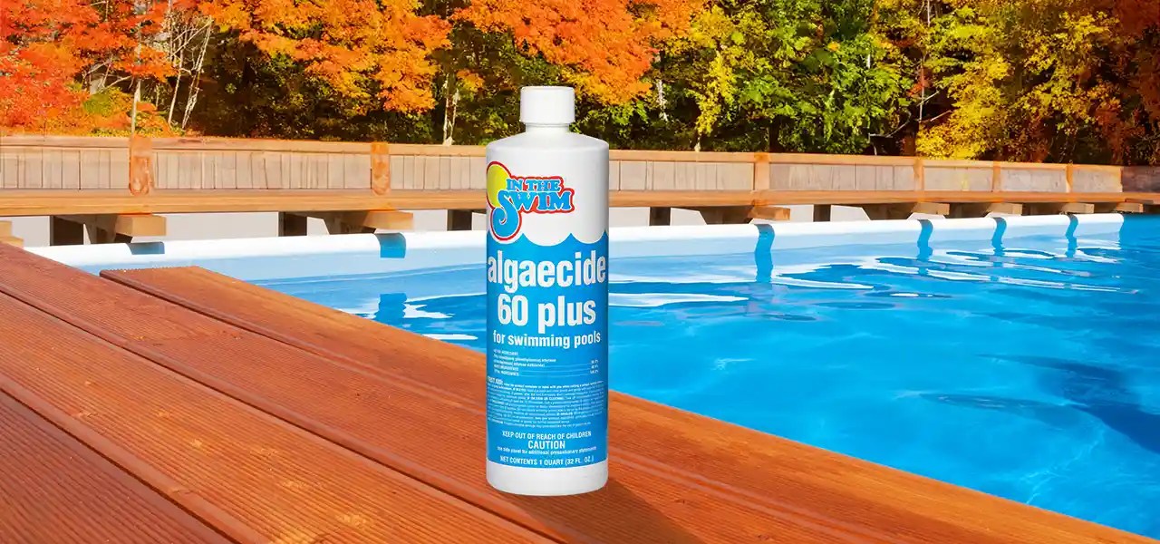 Winter Pool Algaecides In The Swim Pool Blog