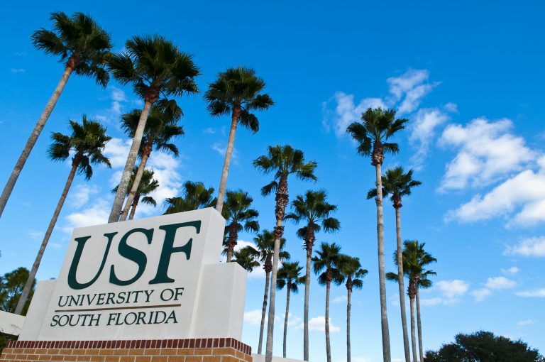 Why you should study in Florida INTO Study Blog