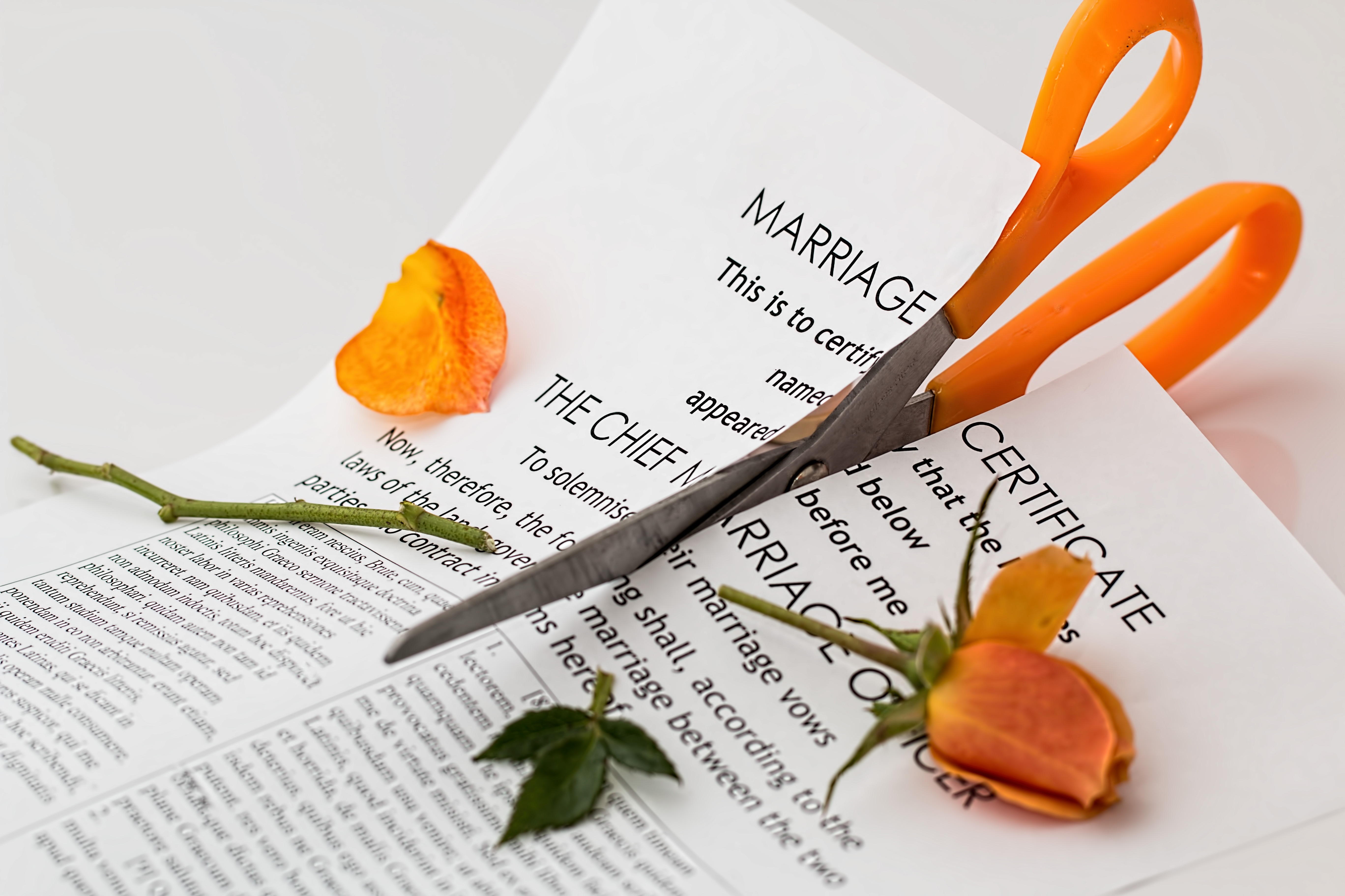 All You Need To Know About Divorce Laws In India iPleaders