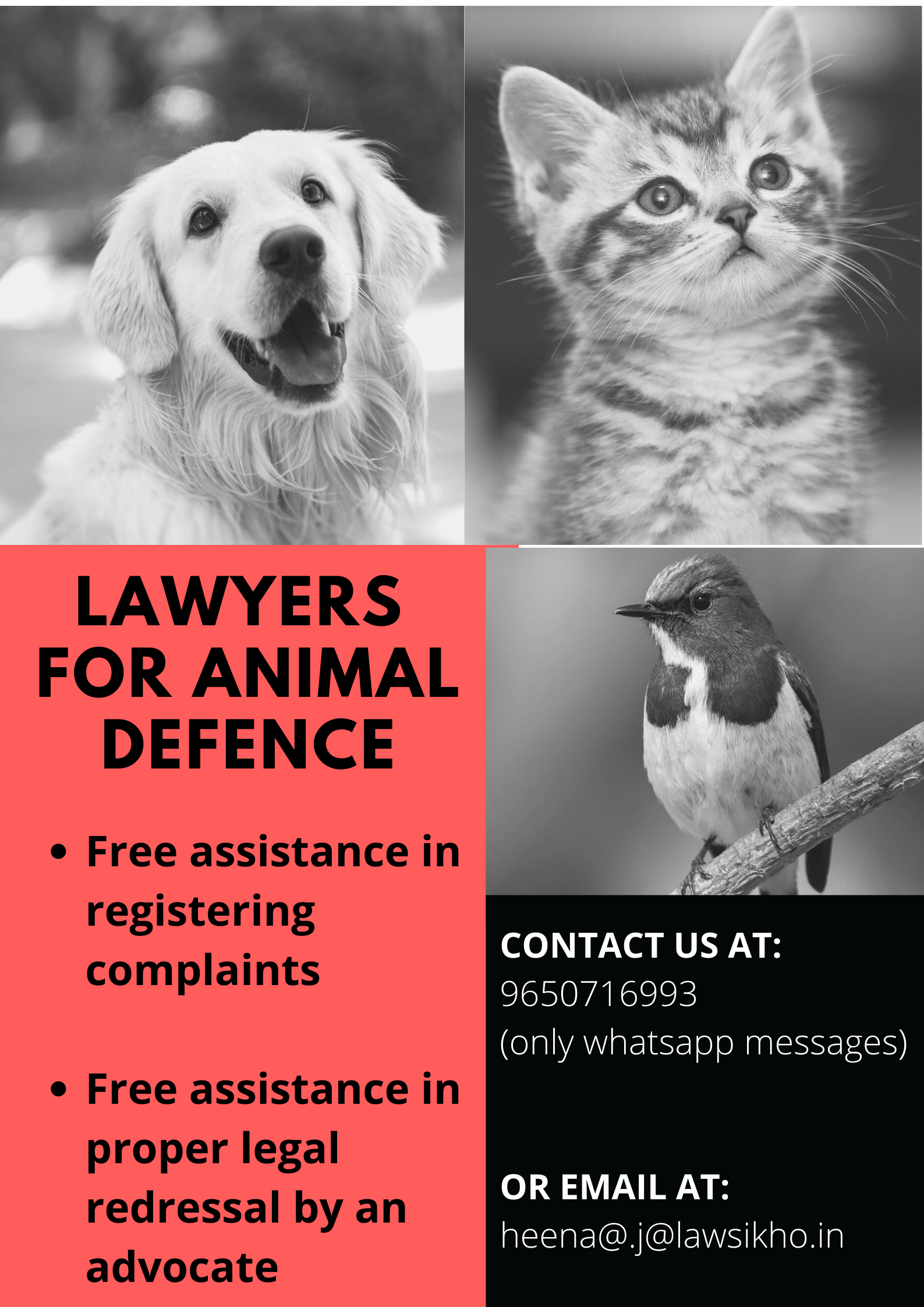 All you need to know about animal cruelty iPleaders