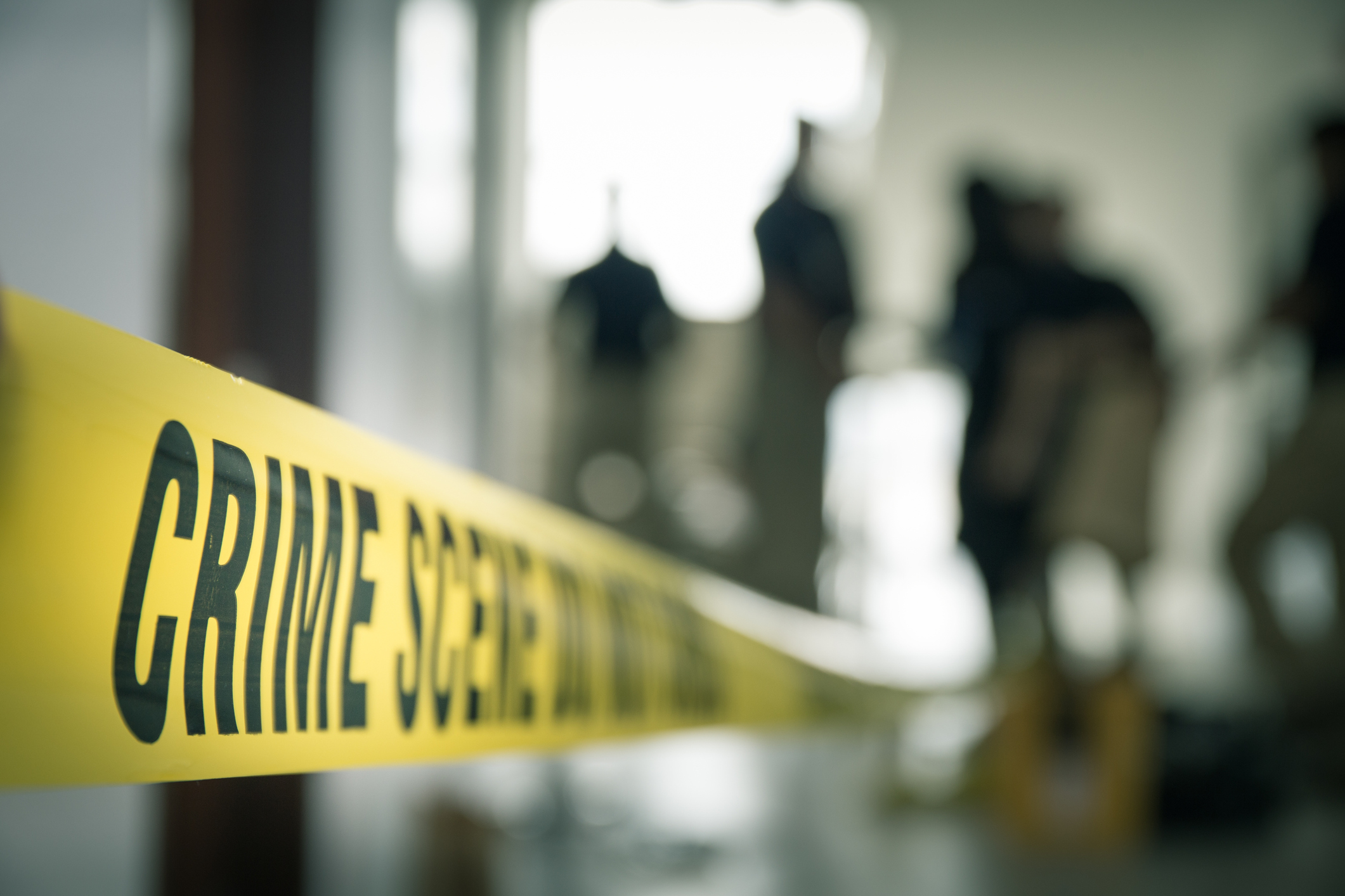 We would like to show you a description here but the site won't allow us. Aluna de Pós-Graduação em Perícia Criminal compartilha sua ...