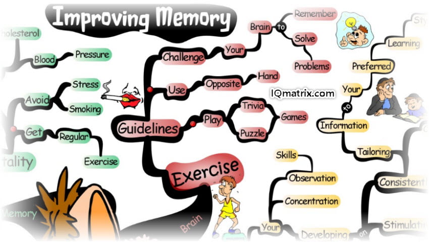A Beginner's Guide for Improving Your Memory and Recall