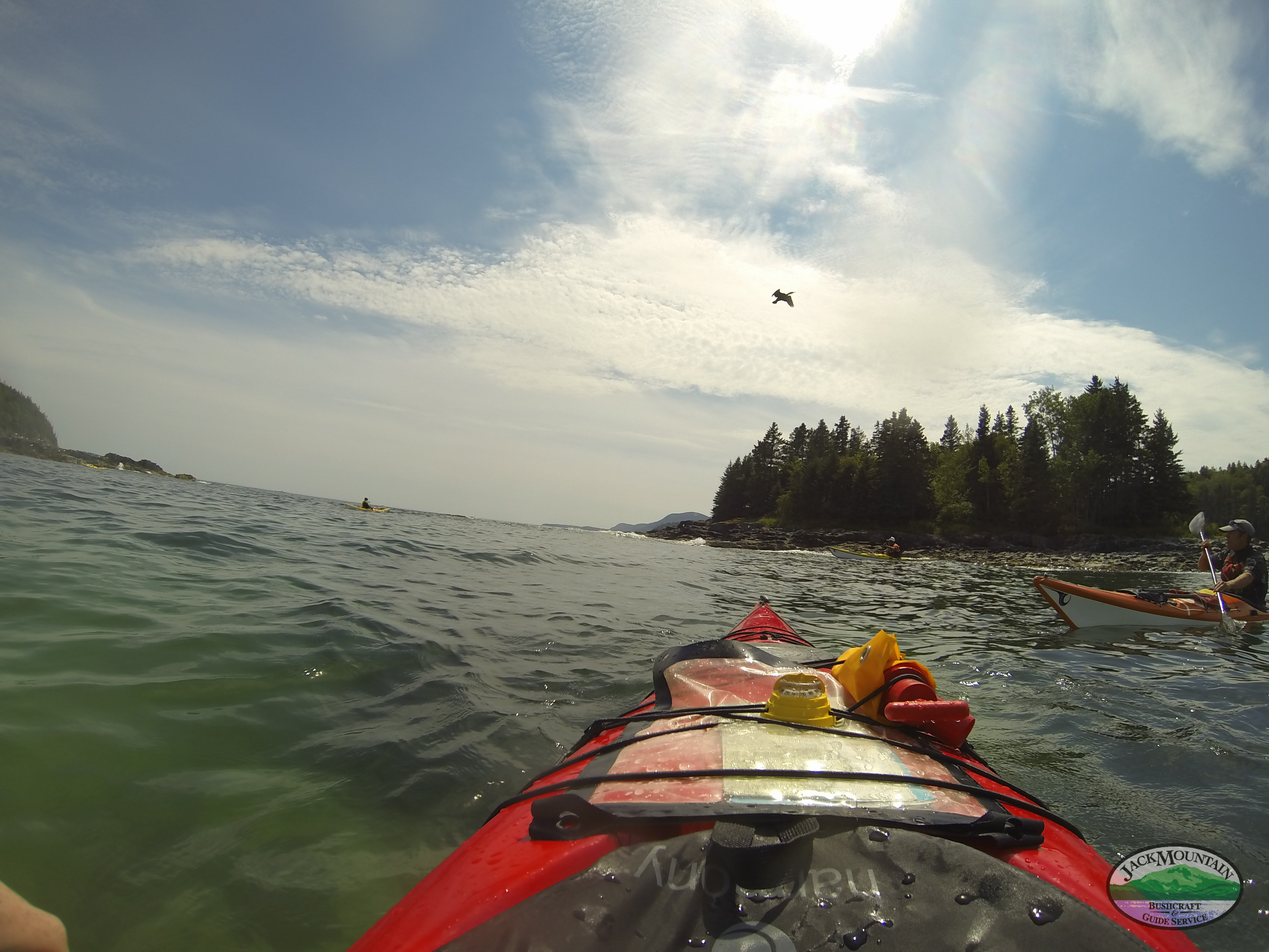 Sea Kayak Guide License A Long Time Coming