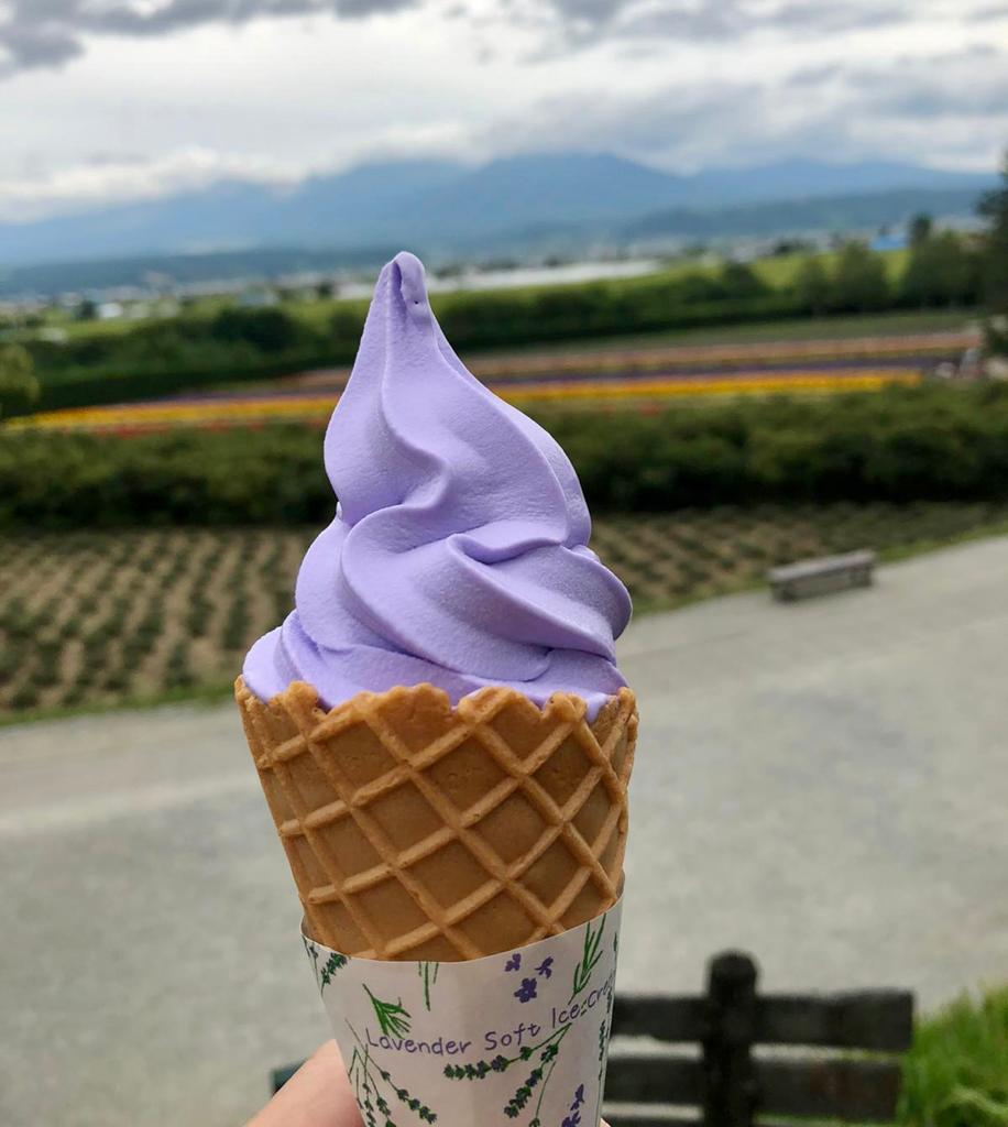 10 Most Unique Ice Cream Flavors in Japan Japan Wonder Travel Blog