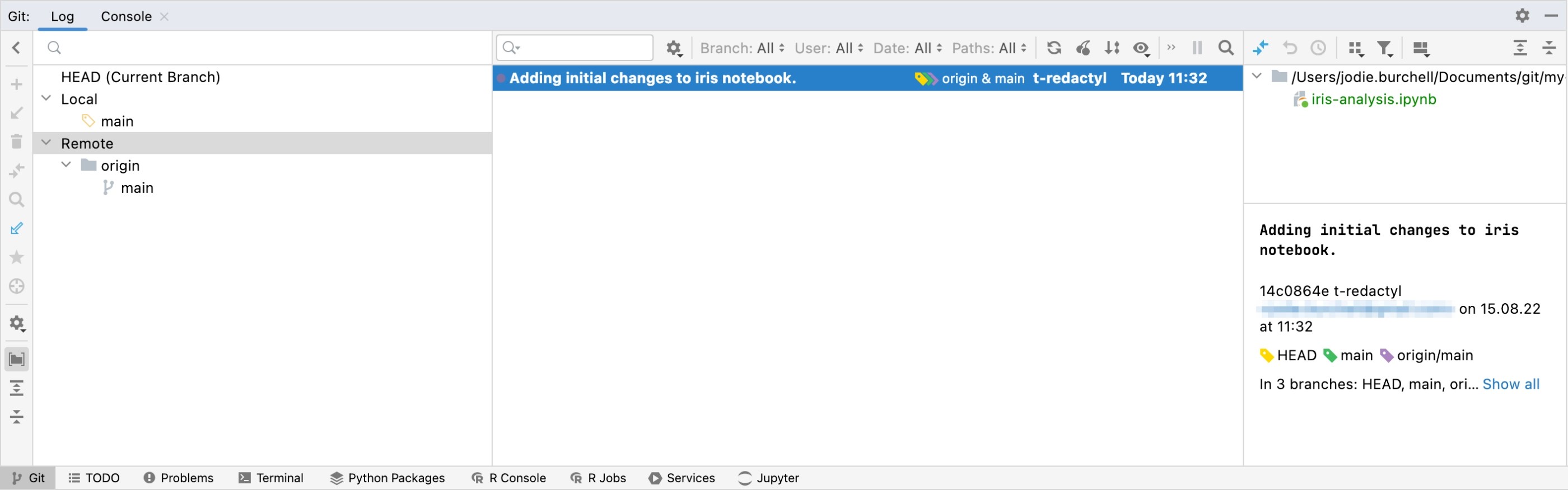 How to Use Git With Jupyter Notebooks in DataSpell The DataSpell Blog
