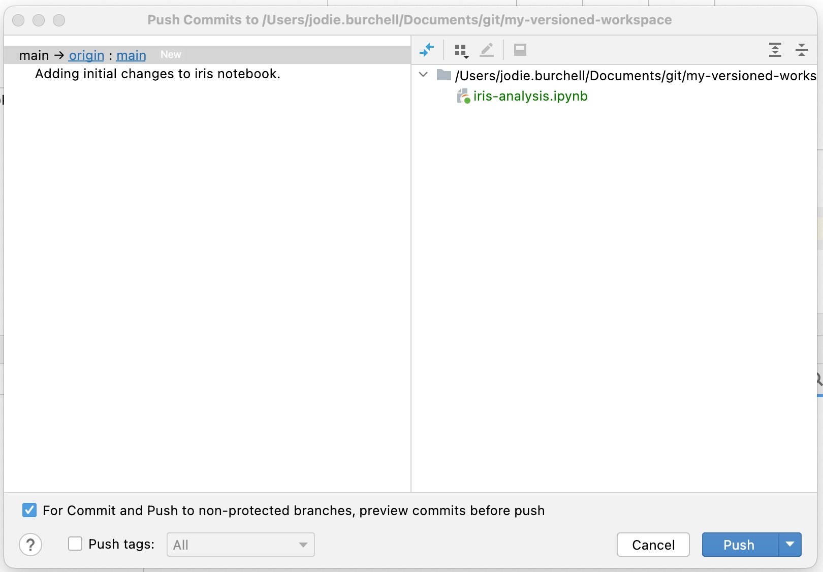 How to Use Git With Jupyter Notebooks in DataSpell The DataSpell Blog