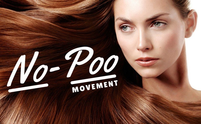 NoPoo Movement Three Methods for NoShampoo Jithya Blog