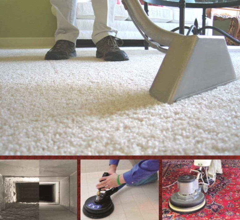 Deep Clean and Sanitize Home Hadeed Carpet and Rug
