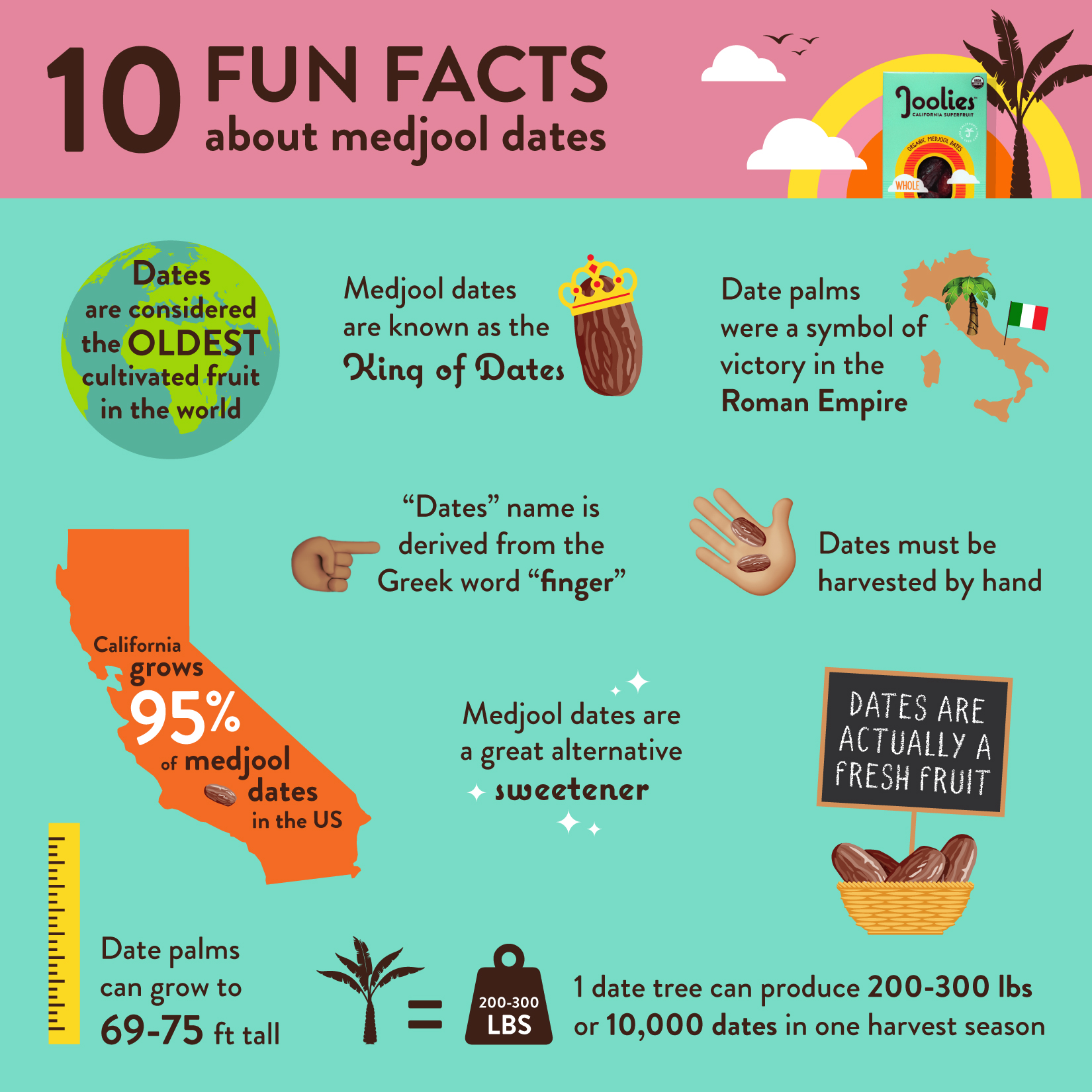 10 Fun Facts About Medjool Dates