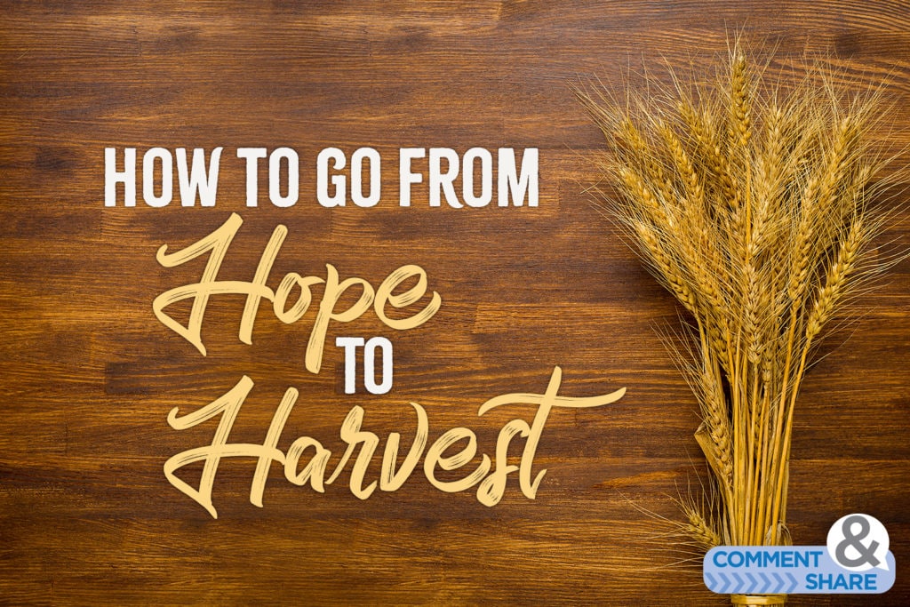 How to Go From Hope To Harvest KCM Blog