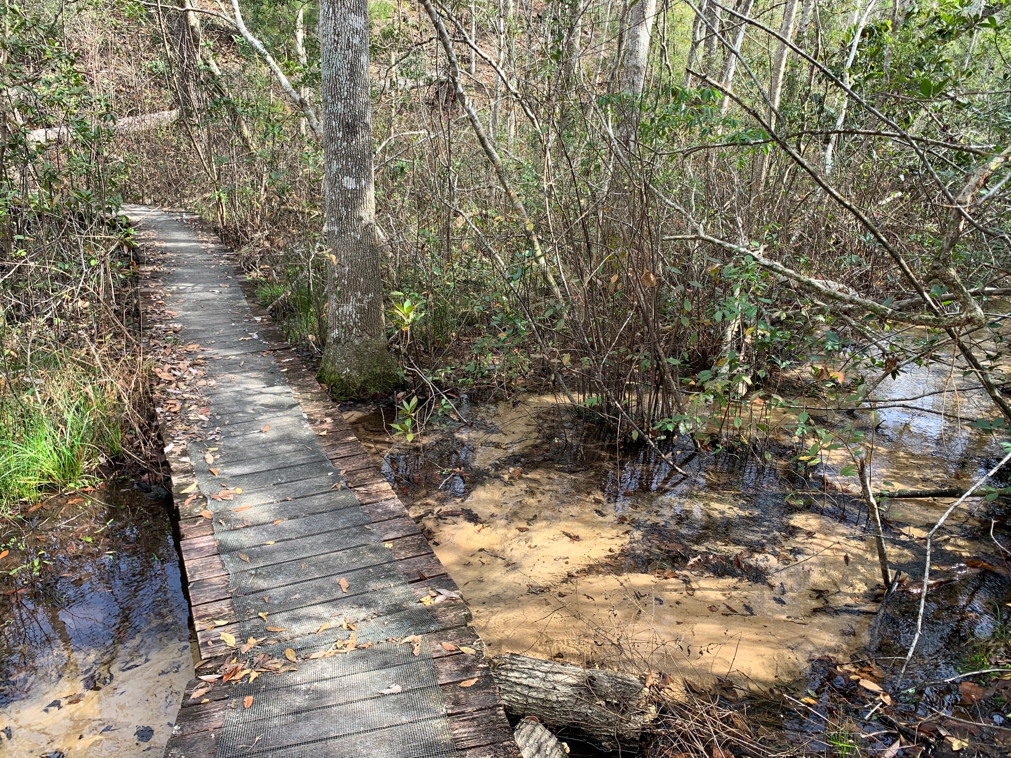 Garden of Eden Trail