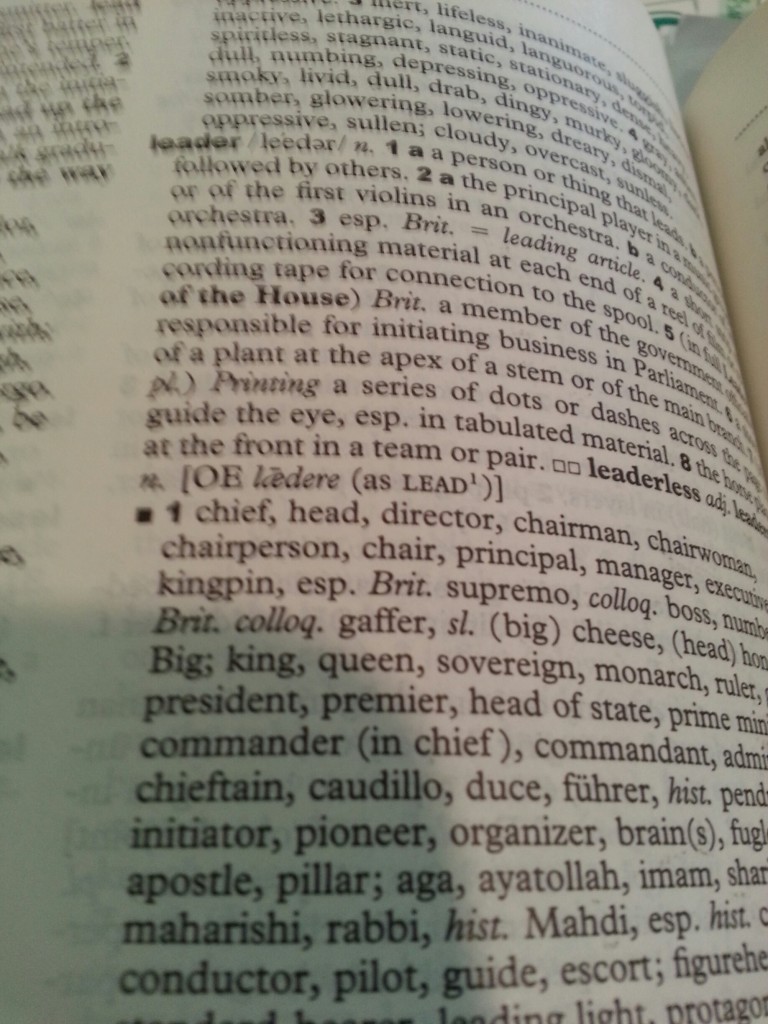 Synonyms for Leadership MindsAir Mental Healers