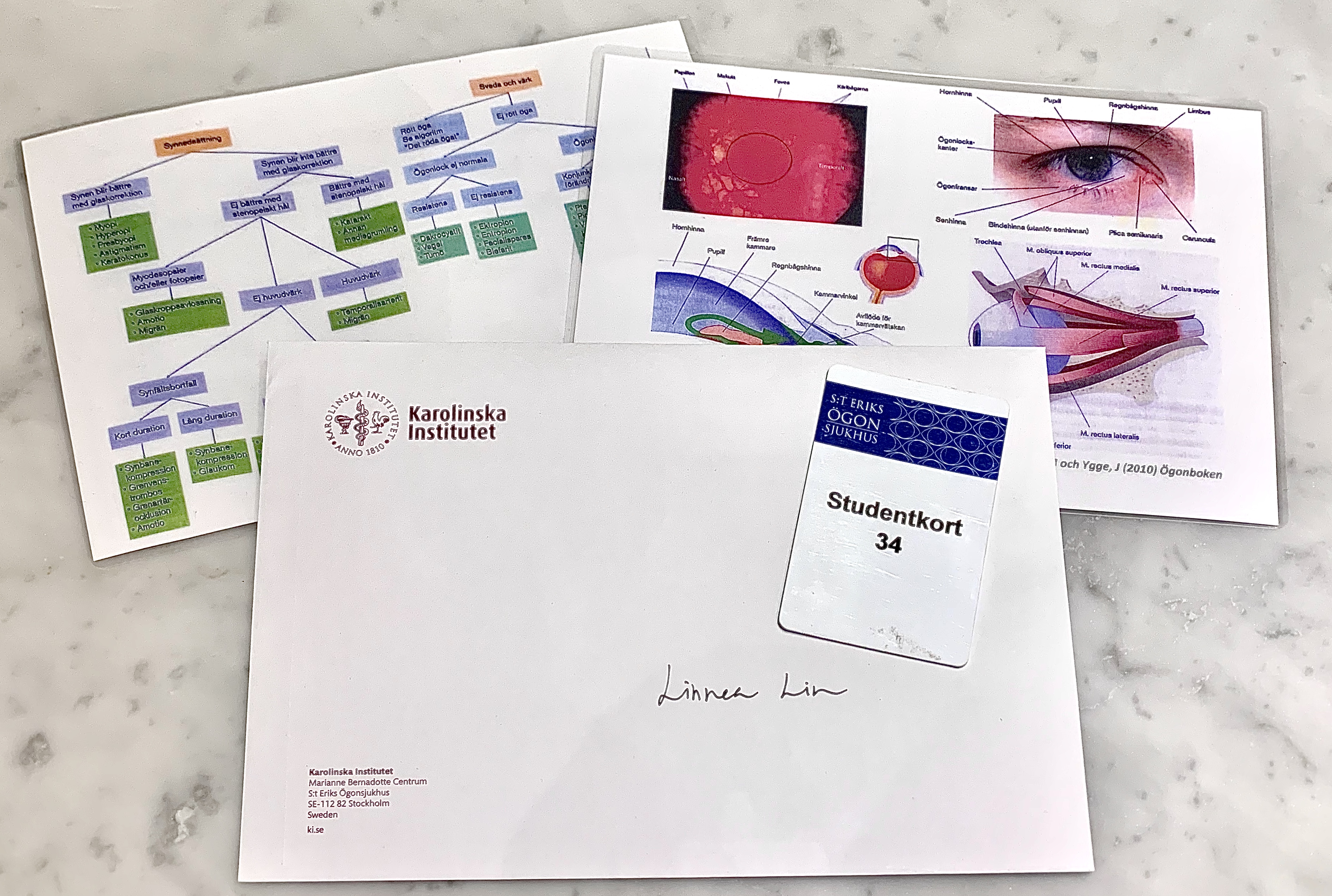 Hur man gör en synundersökning intro till oftalmologi KIstudenten