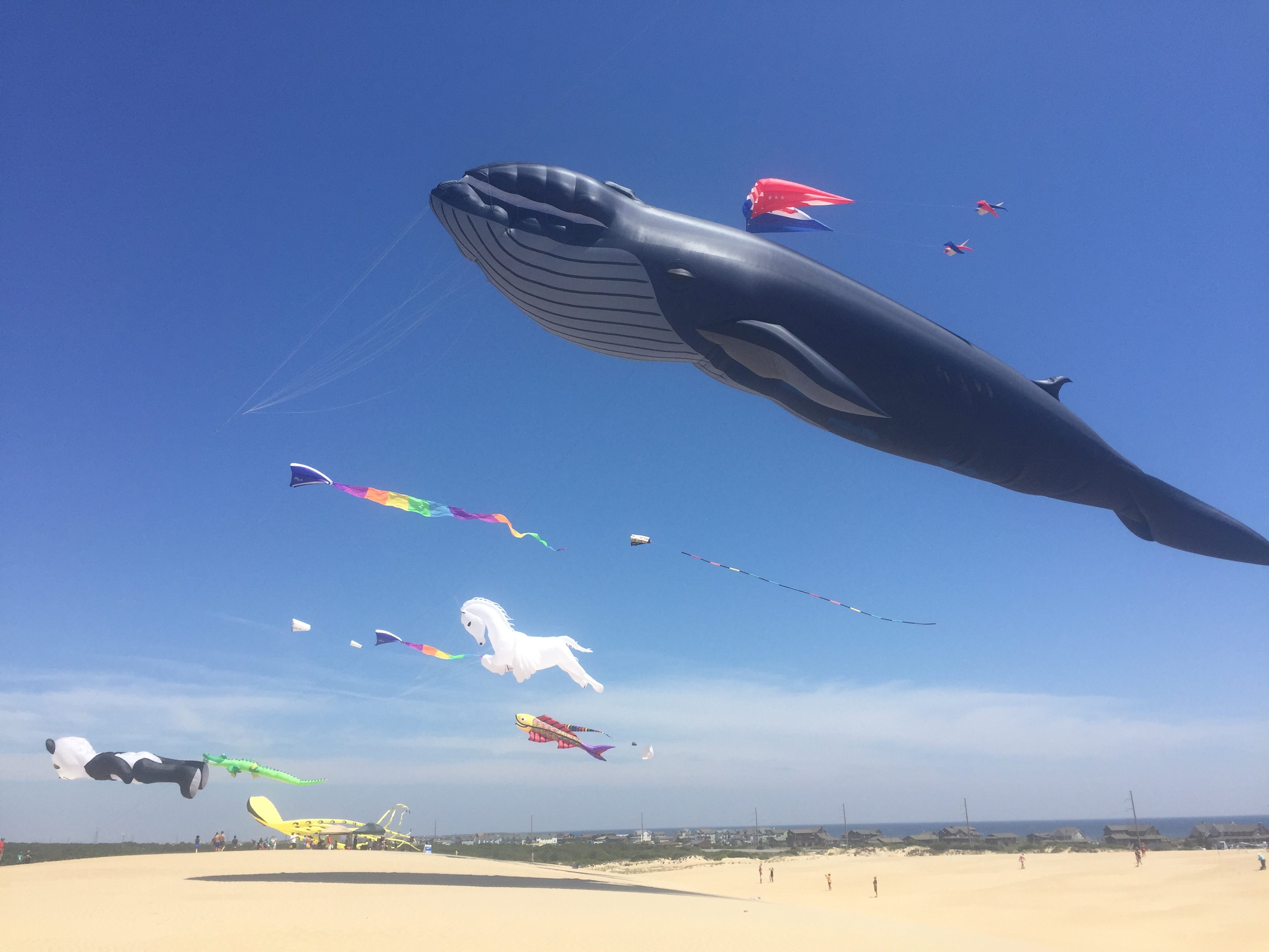 A day in the life The 34th Annual Rogallo Kite Festival Kitty Hawk Kites Blog