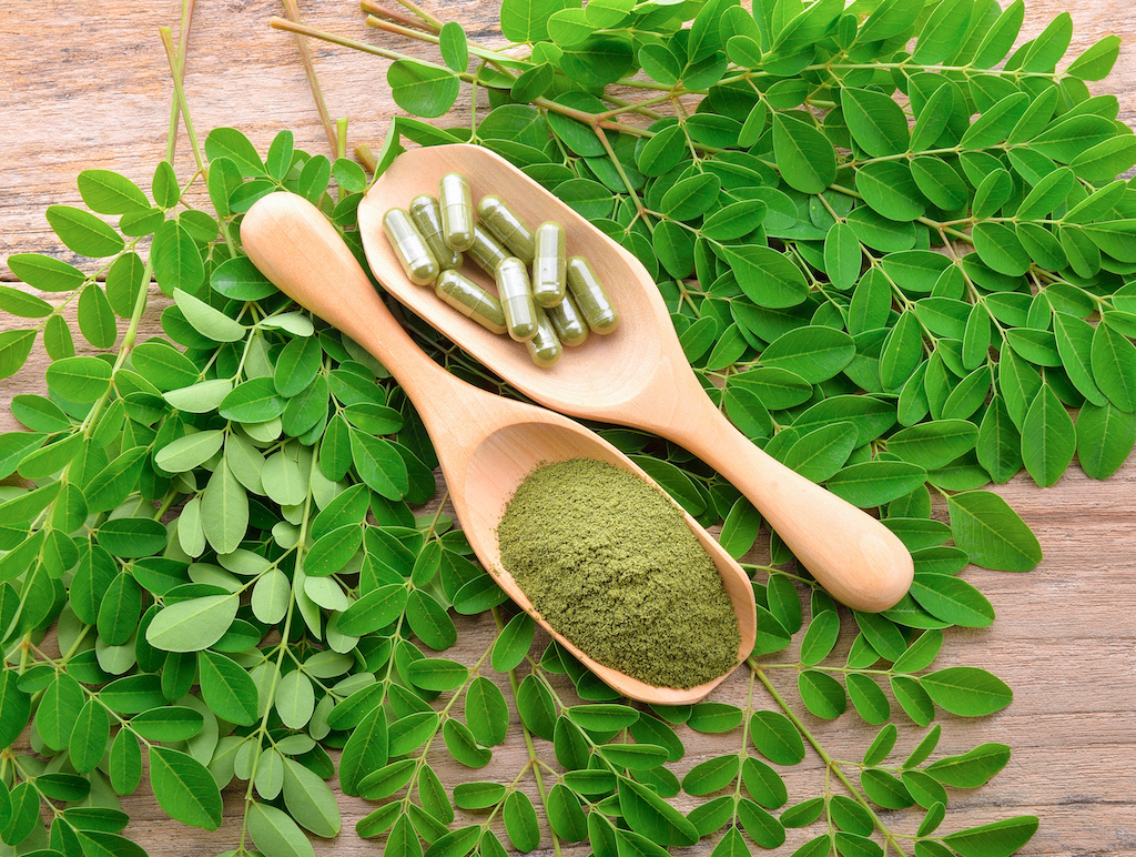 Moringa Powder vs. Moringa Capsules Which Should You Choose? Kuli