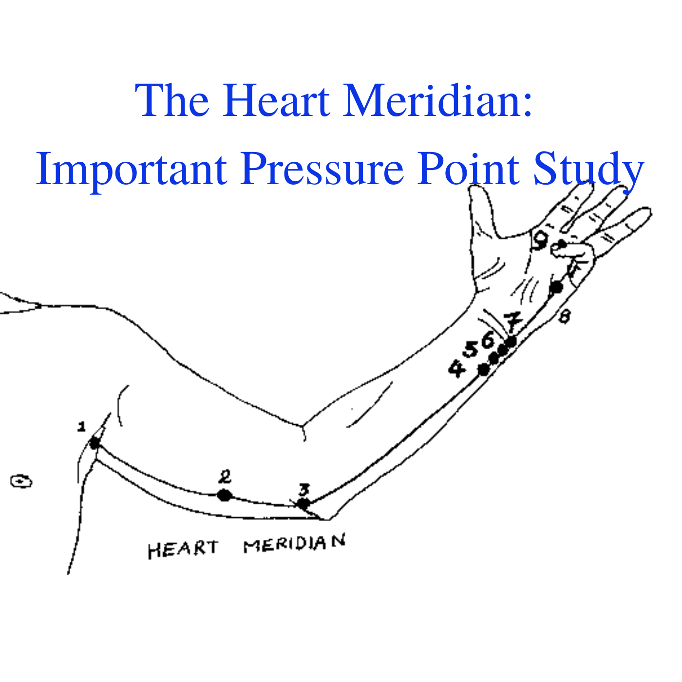The Heart Meridian Important Pressure Point Study