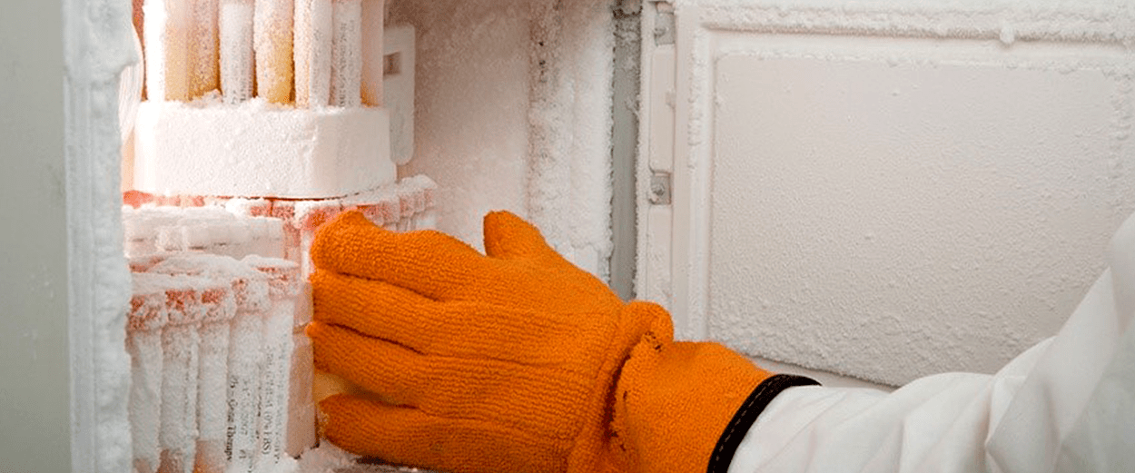 The Development & Function of mRNA Vaccines Labtag Blog