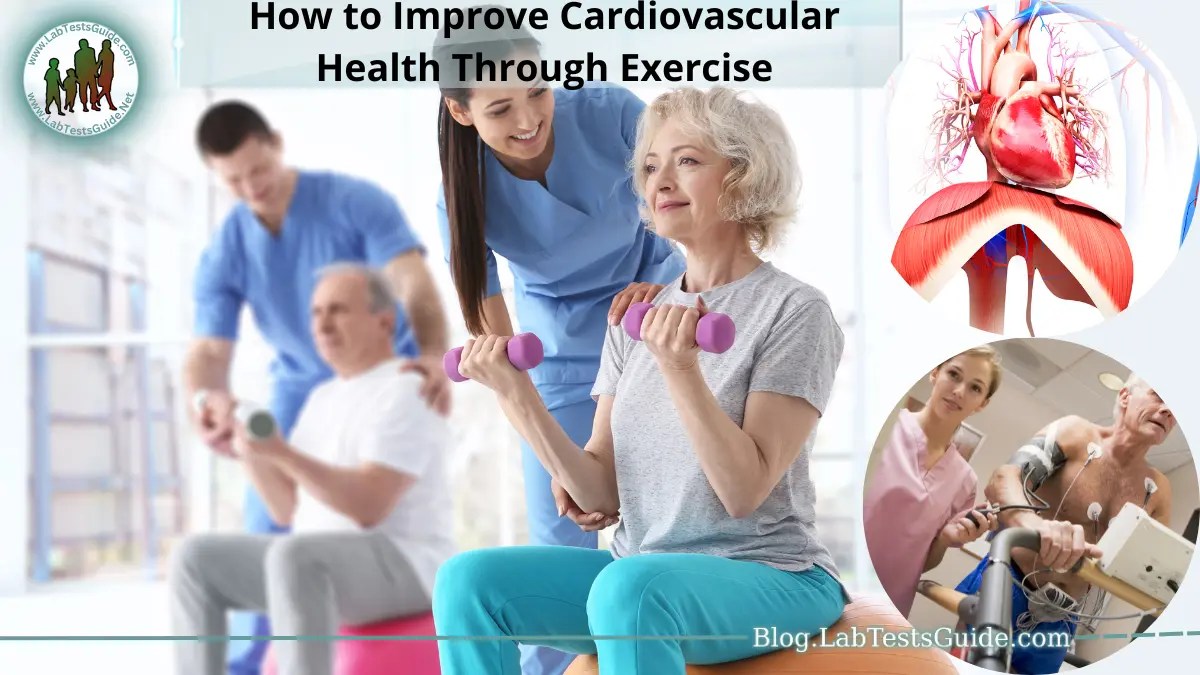 How to Improve Cardiovascular Health Through Exercise Lab Tests Guide