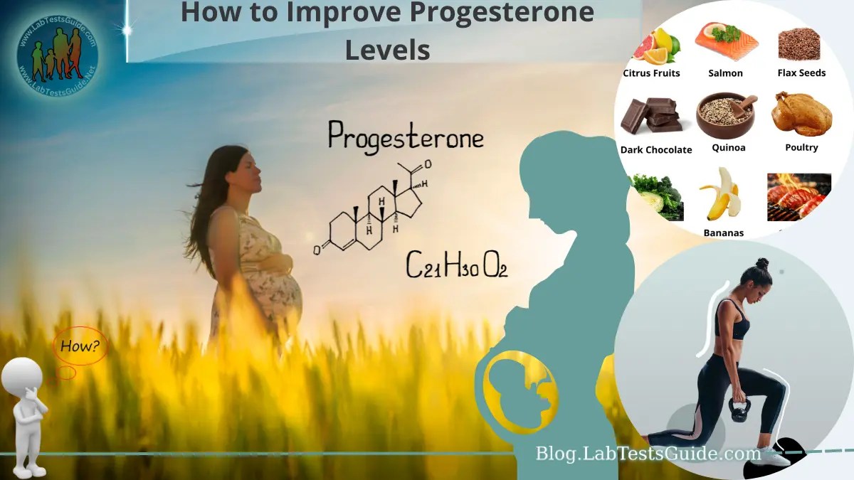 How to Improve Progesterone Levels Lab Tests Guide Blog
