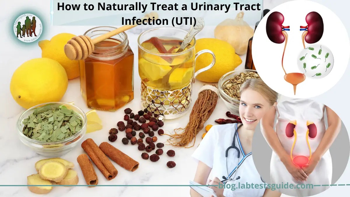 How to Naturally Treat a Urinary Tract Infection Lab Tests Guide Blog