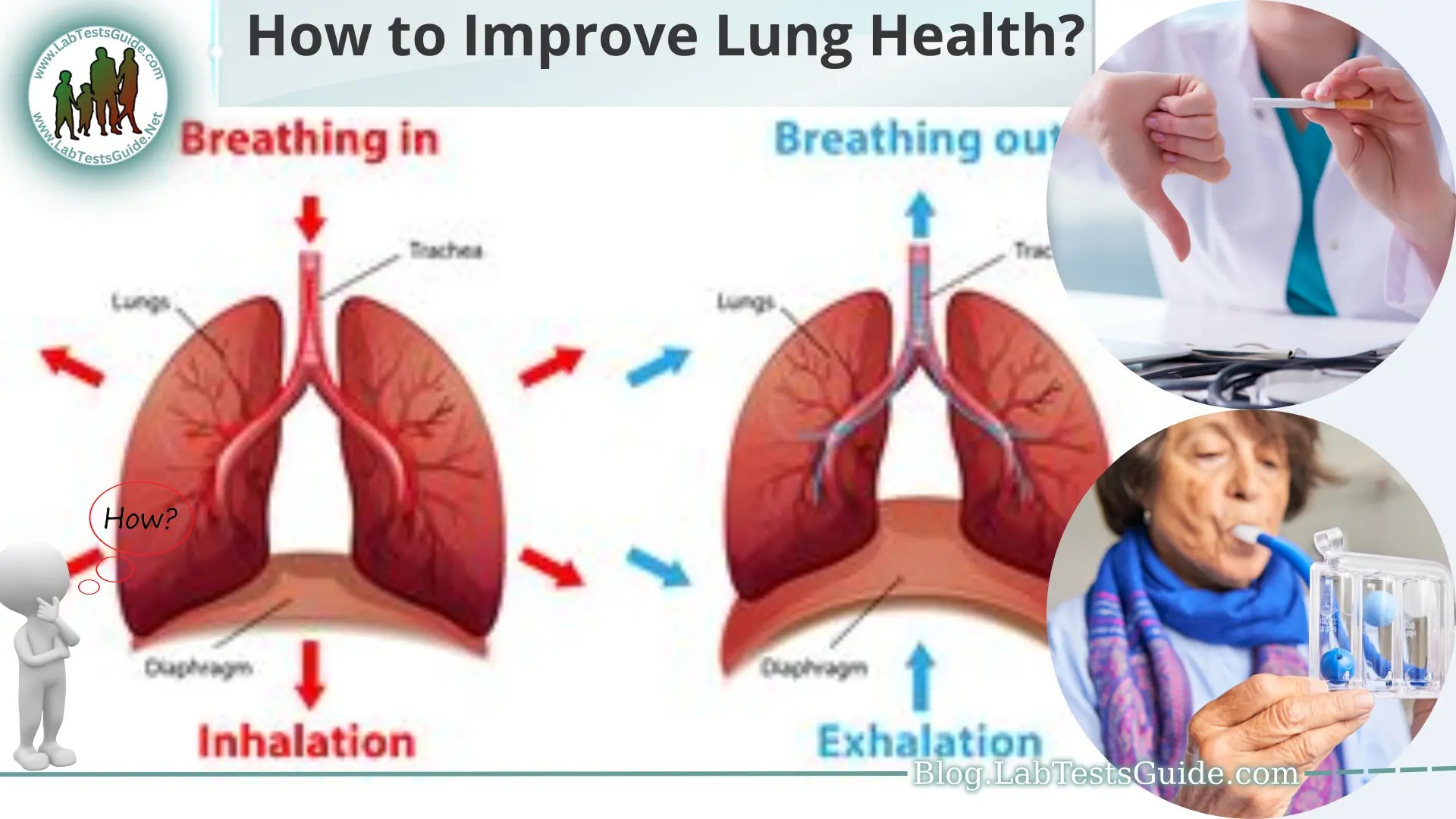How to Improve Lung Health? Lab Tests Guide Blog