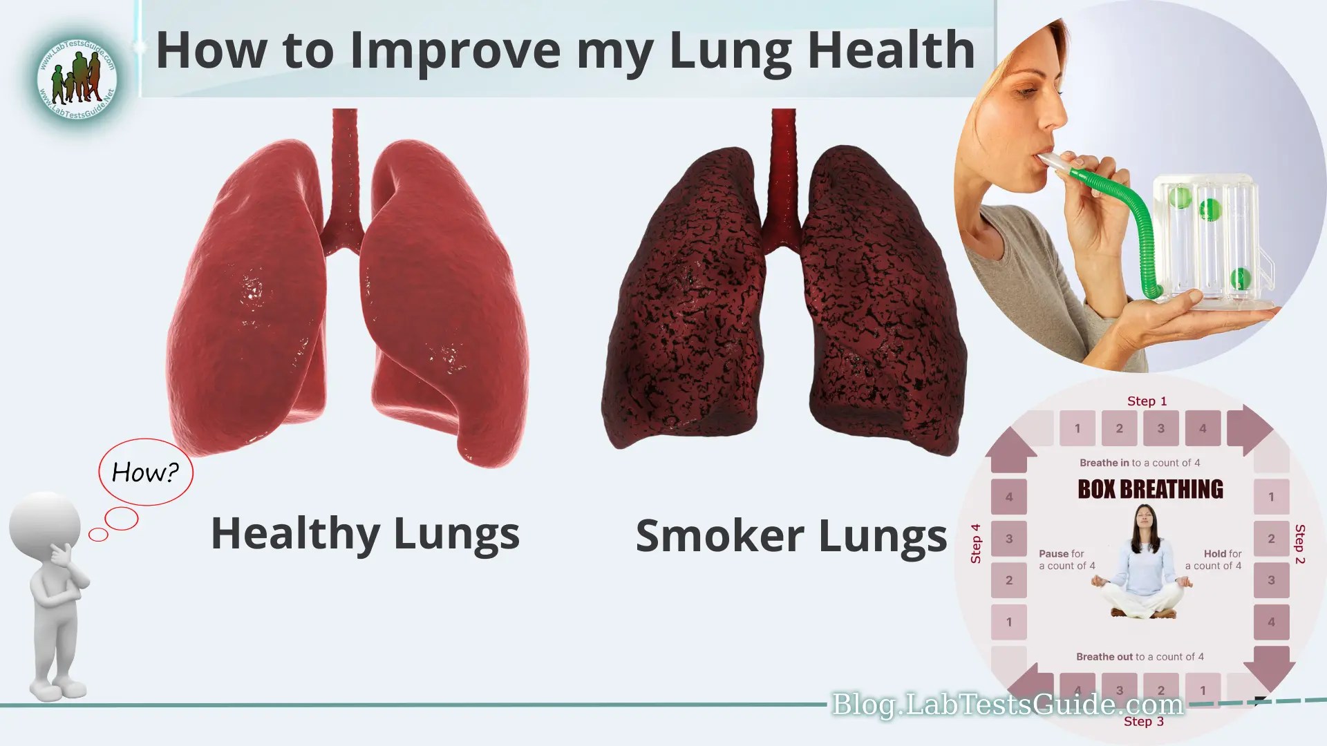 How to Improve my Lung Health Lab Tests Guide Blog