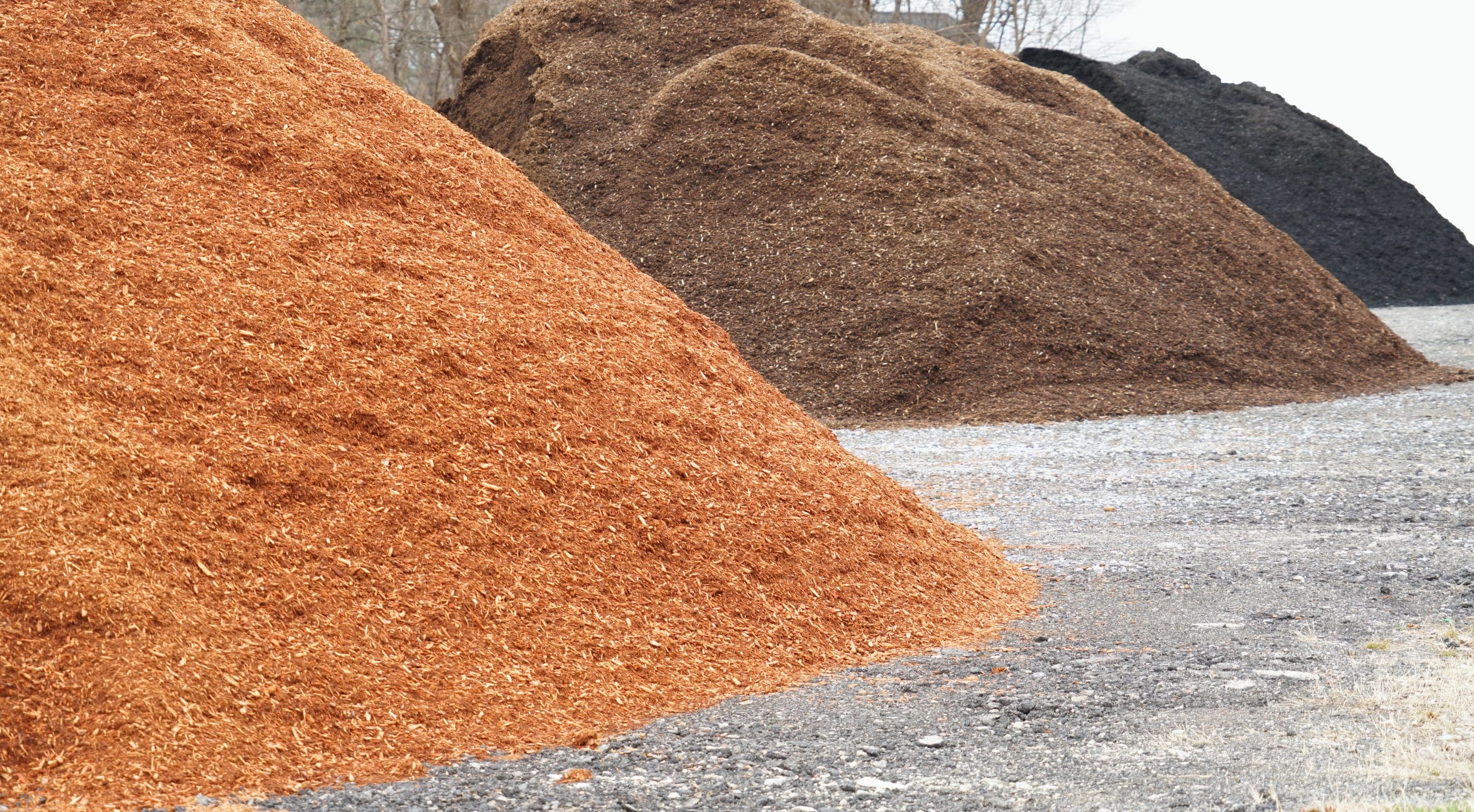 Mulch Madness The Pros and Cons of Various Mulch Material The Edge