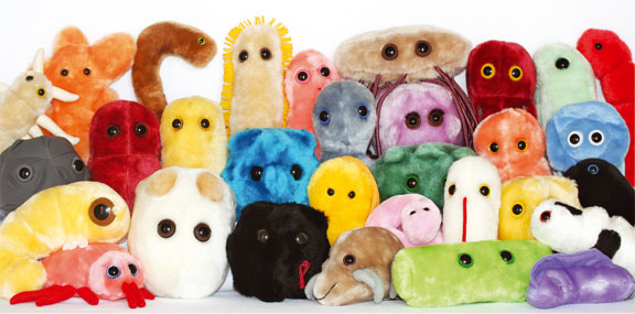 Das Bild von http://www.riesenmikroben.de/