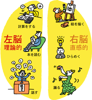 右脳・左脳