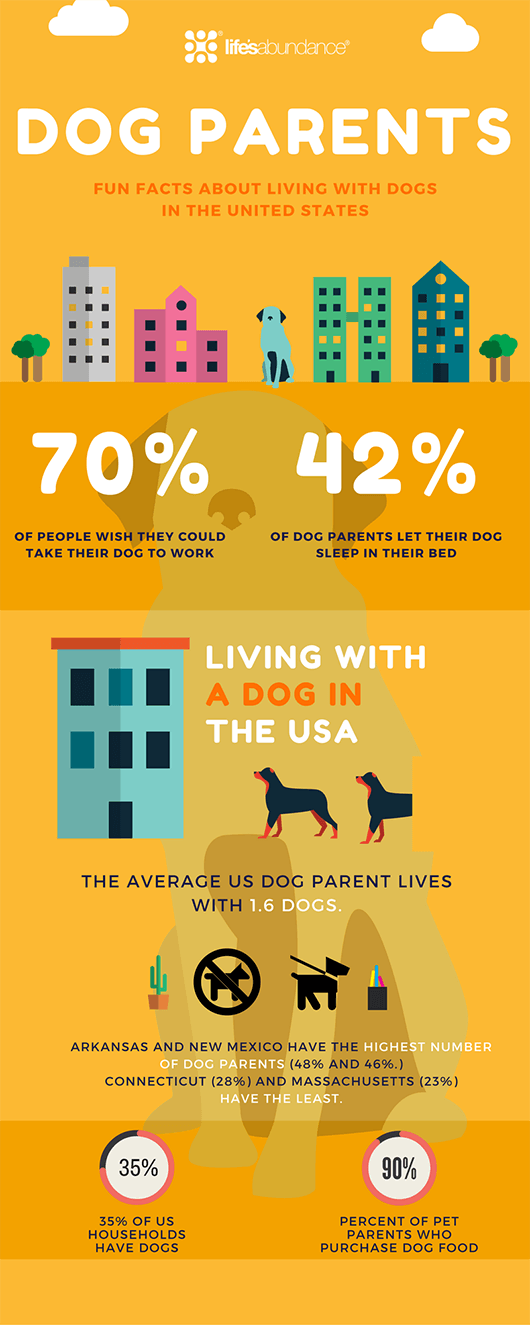 Infographic Fun Facts About Living with Dogs