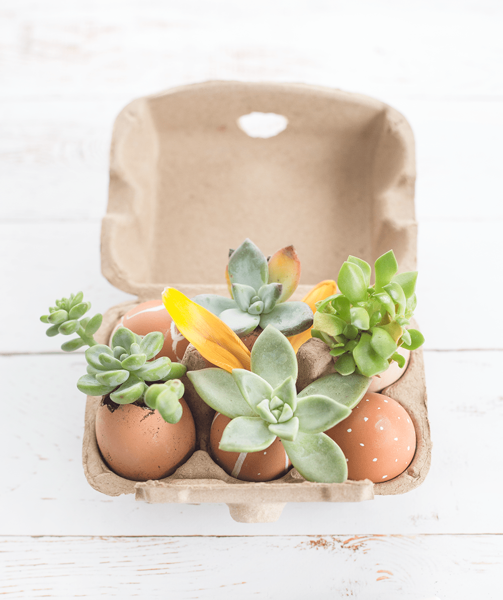 Make This Modern Easter Decor with Eggs! Lily & Val Living