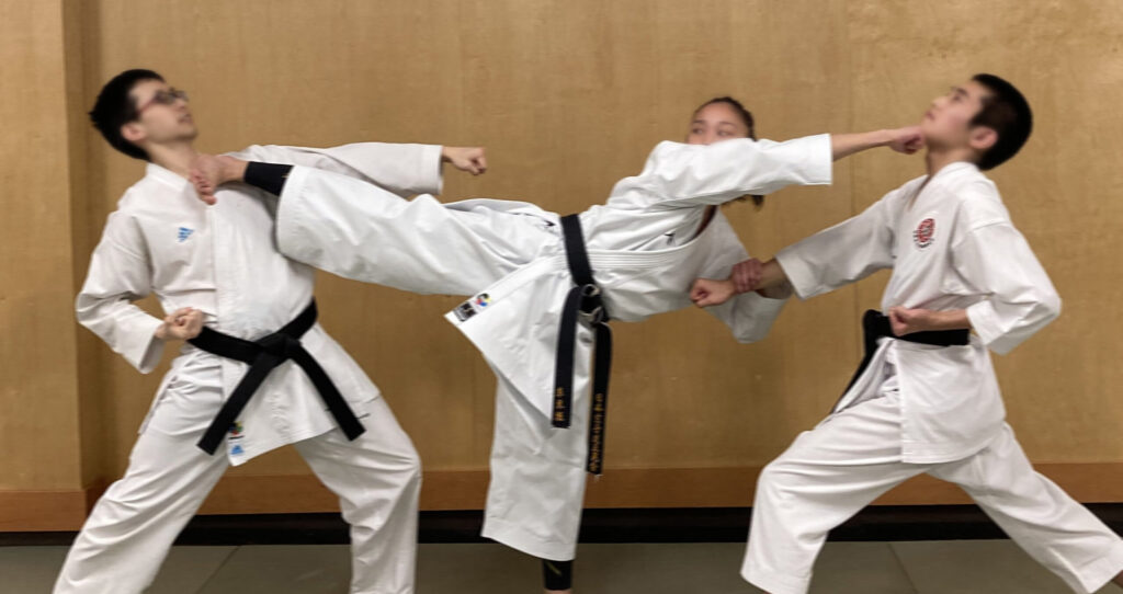 5 Best Martial Arts in the World Loakin Blog