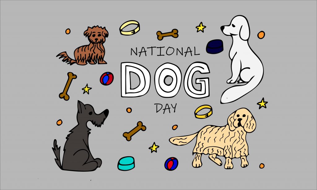 National Dog Day 2025 Memes 2025 National Dog Day Celebrating Our FourLegged Friends Loakin Blog