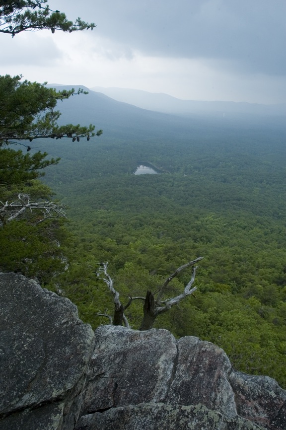 Photo Gallery Talladega National Forest The Locust Fork NewsJournal