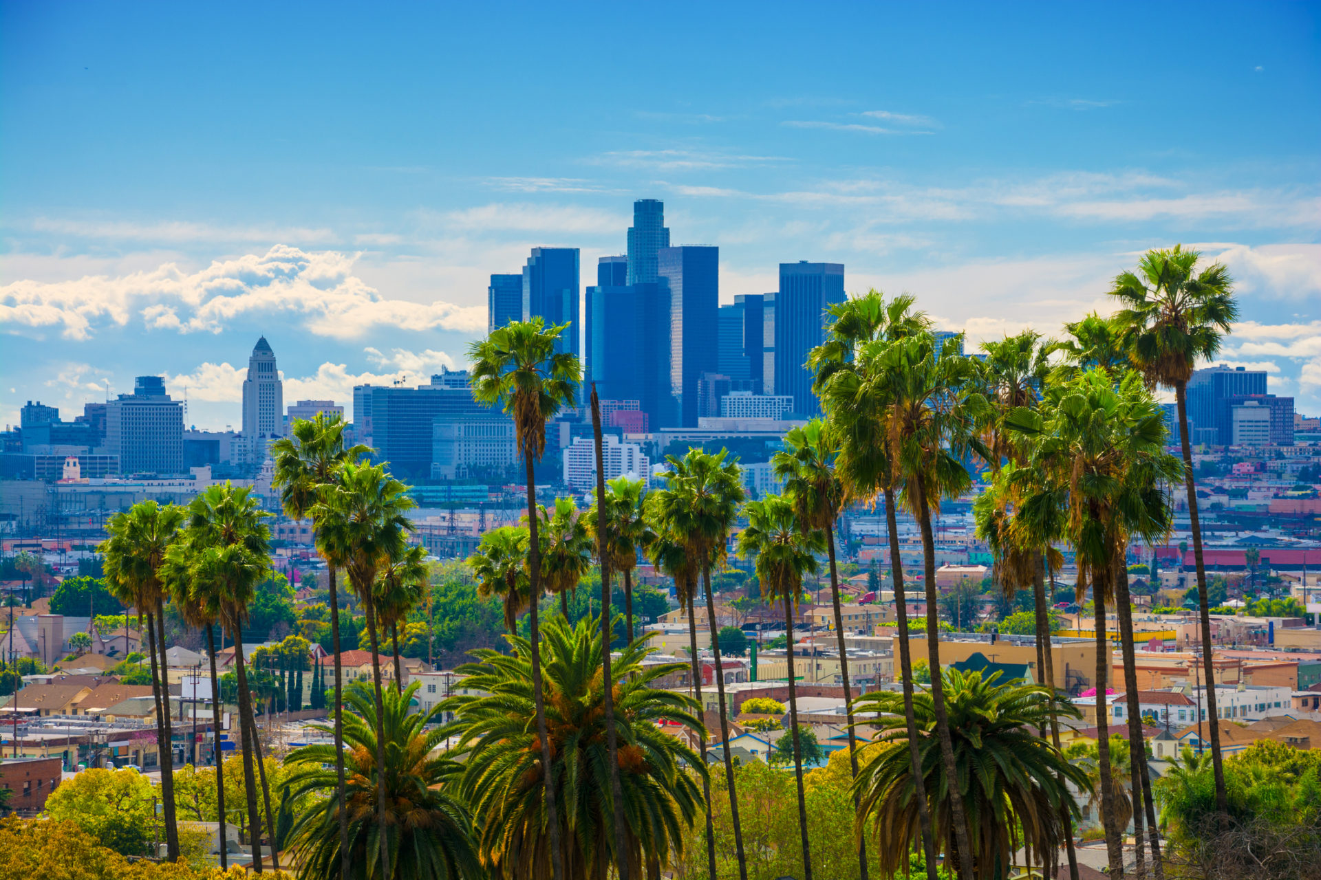 Slpa Certification California Master of Documents
