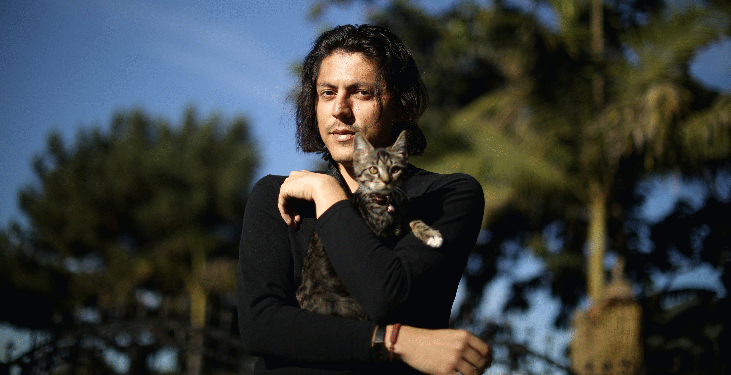 Lucy Nicholson Multimedia