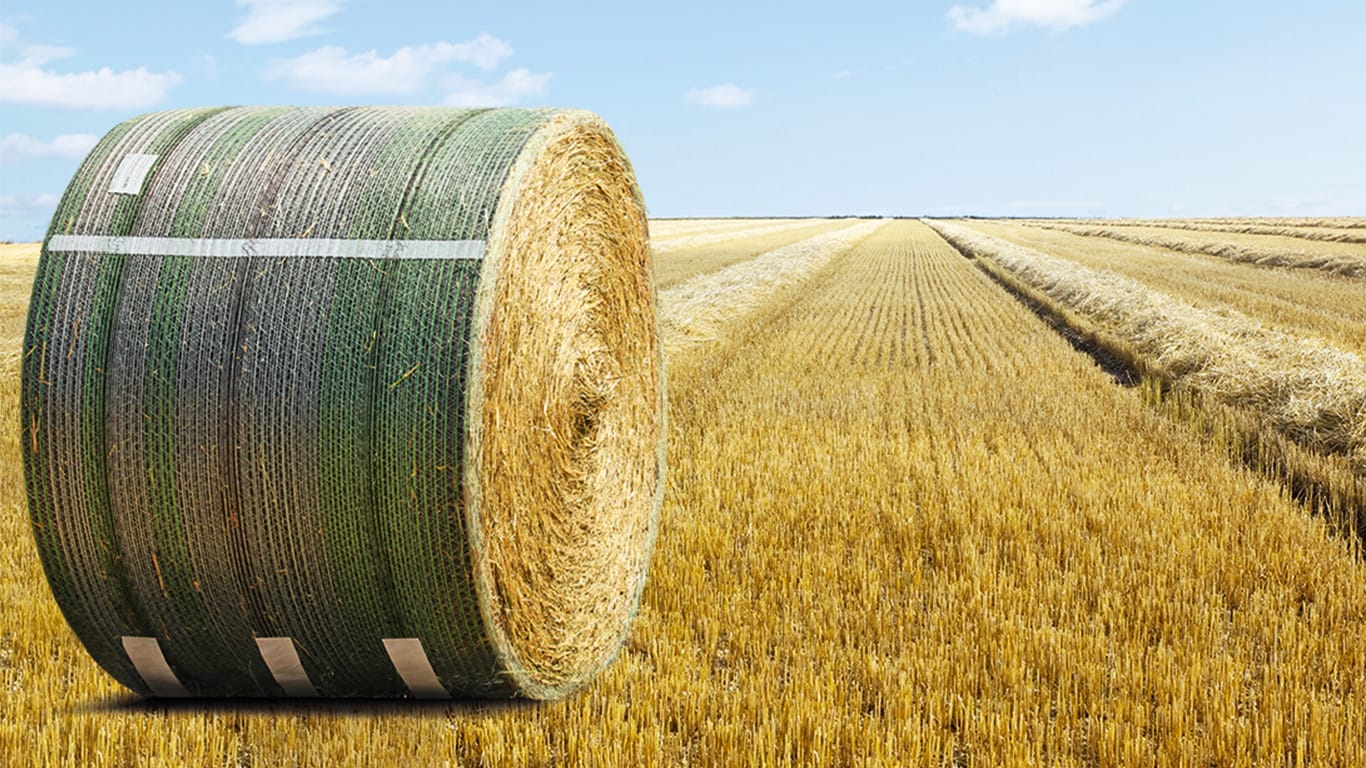 Growing, Harvesting, and Baling Hay A Complete Guide