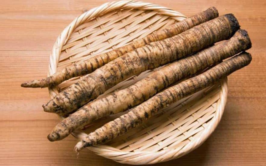Burdock Root Health Benefits Explained Maple Holistics Real