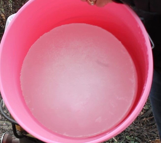 Can You Freeze Maple Sap? Maple Tapper Blog