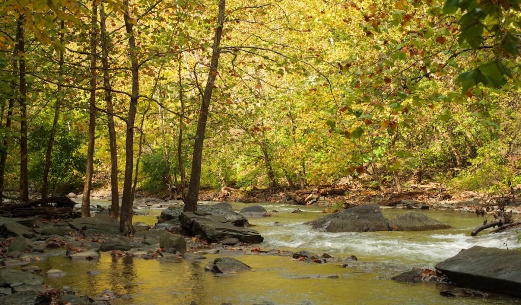 Six Mile Creek near Harbor Ridge