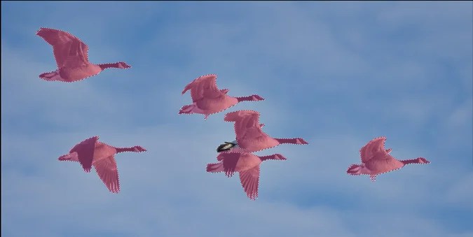 New In Photoshop Cc 2023 Testing The Photoshop 2023 Object Selection Tool On A Variety Of Nature Photographs - Martin Belan