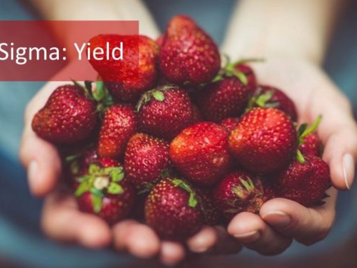 First Time Yield Definition TIMETQ