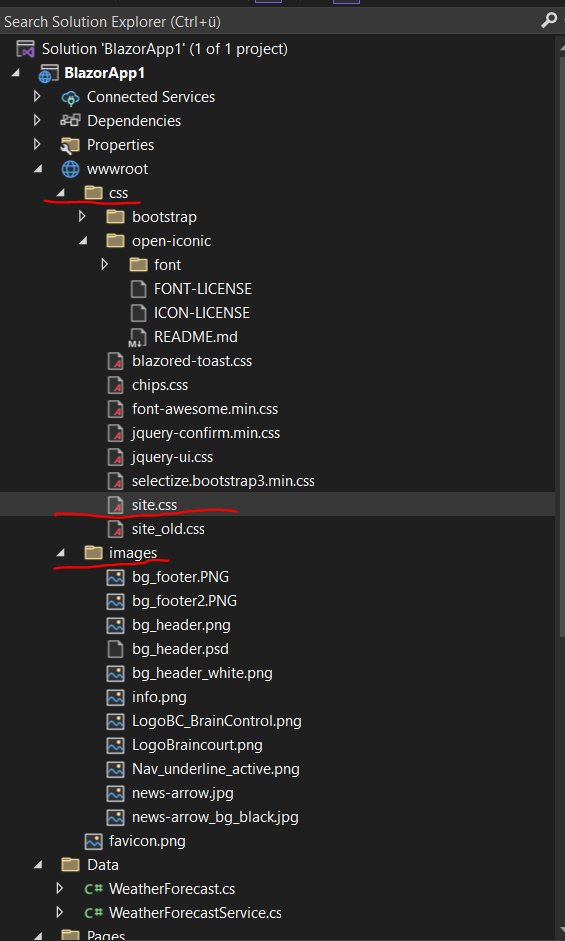 Blazor Server Basics Part 3 Custom Layout