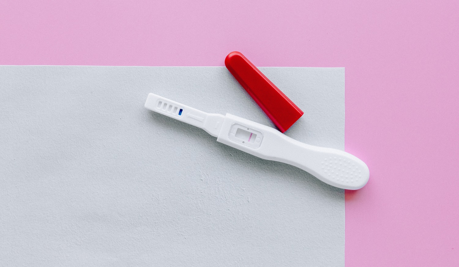 How Do I Dry Up My Dogs Milk From A False Pregnancy at Edward Banks blog